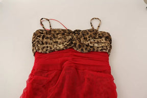 Dolce & Gabbana Braun Leopard Rot Tüll Etuikleid Midikleid