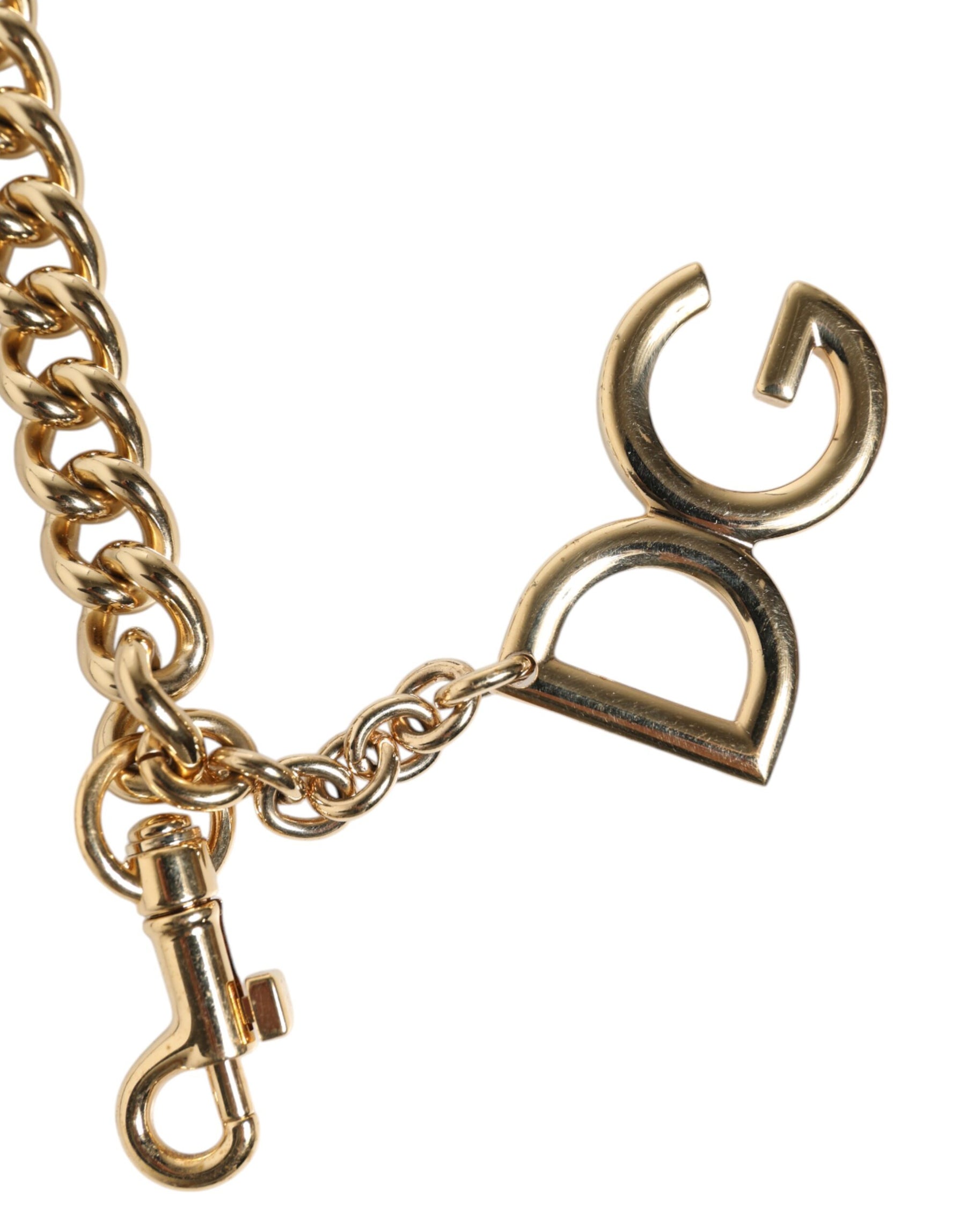 Dolce & Gabbana Braun Leopard Gold Messing Kette Accessoire Schulterriemen