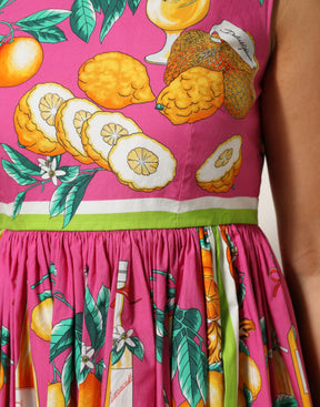 Dolce & Gabbana Rosafarbenes, ärmelloses Mini-Kleid mit Fruchtdruck
